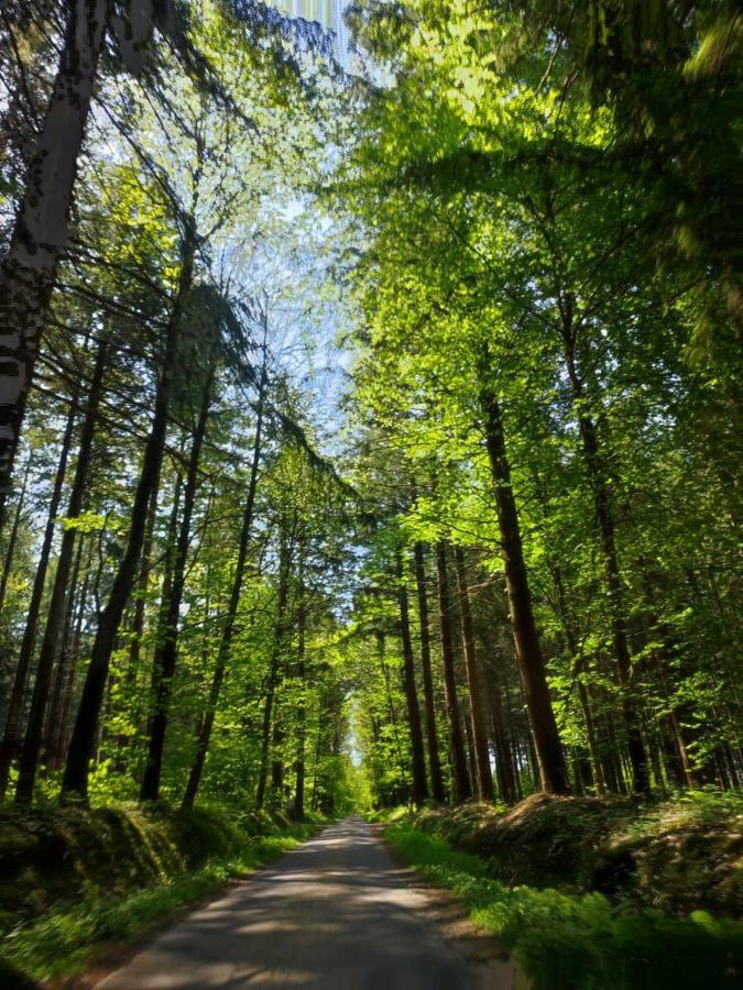 Gite Les Tongs Des Pres, Au Coeur Du Parc Normandie Maine Livaie Екстериор снимка